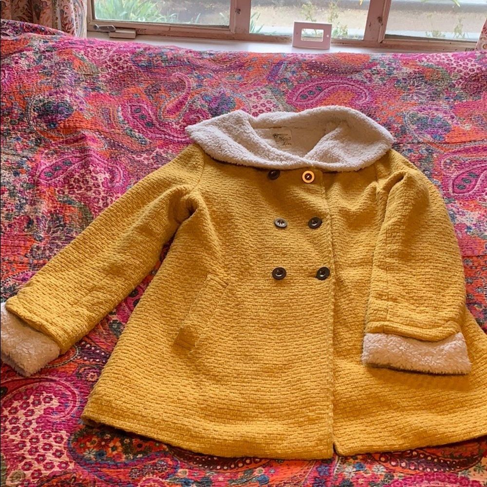 Adorable yellow jacket 🐝